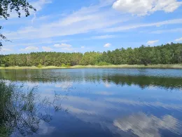 Barschteich (Rückersdorf)