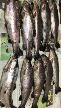 Forellenteiche Wehrshausen