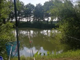 Viehdammteiche (Scheeßel)-1