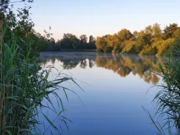 Viehdammteiche (Scheeßel)