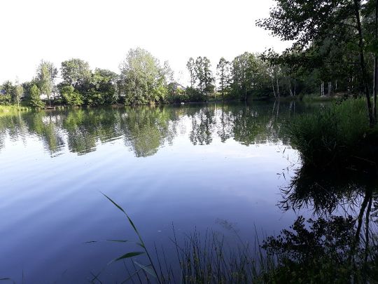 Alte Tongrube Buchholz-1