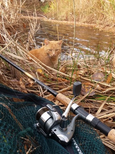 Alte Tongrube Buchholz-3