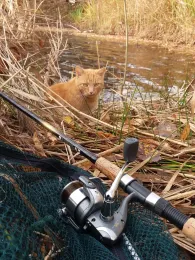 Alte Tongrube Buchholz-3