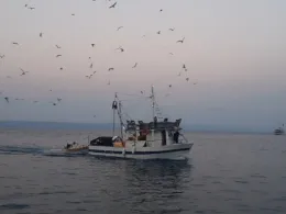 Adria (Makarska)-0