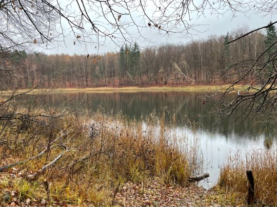 Krummer See