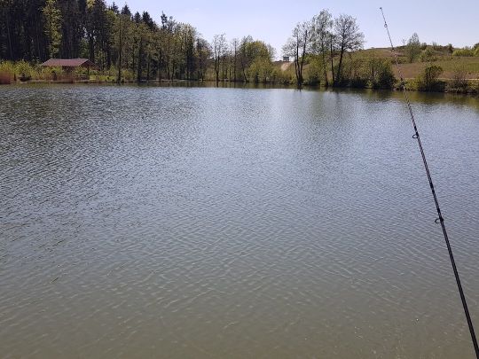 Waldsee Monheim-0