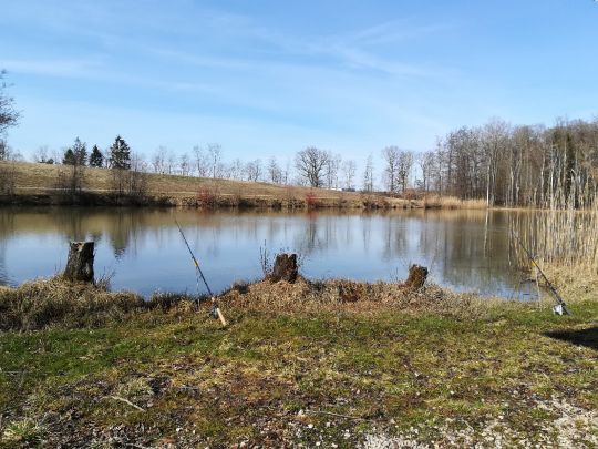 Waldsee Monheim
