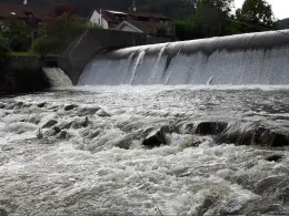 Wiese (Hausen im Wiesental)-1