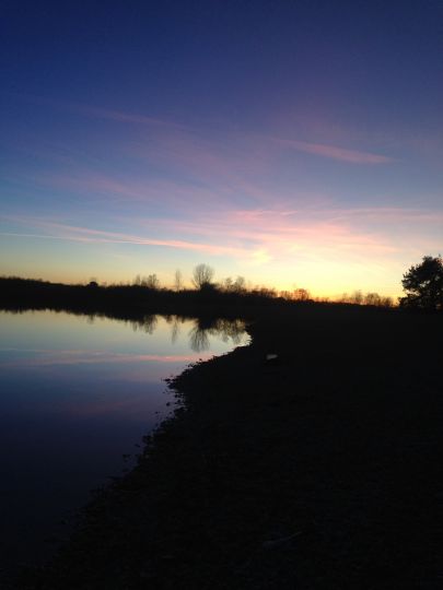 Hollerner See (Eching)-1