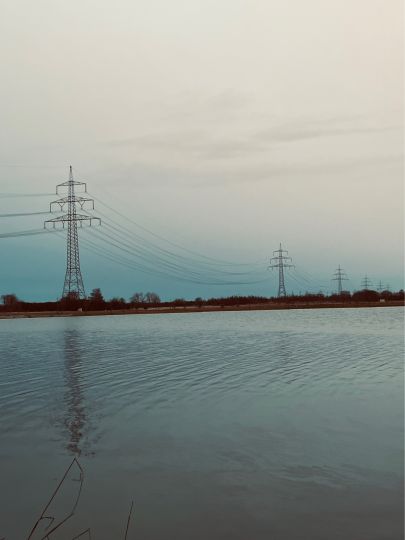 Hollerner See (Eching)-3