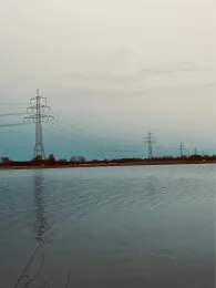 Hollerner See (Eching)-4