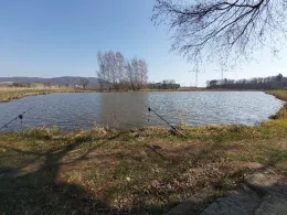 Teichanlage Reichenschwand-1