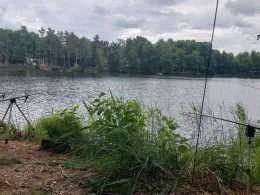 Horstteich (Bornsdorf)-3