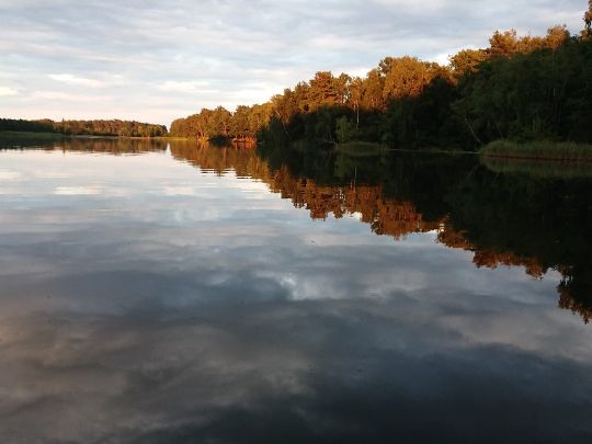 Horstteich (Bornsdorf) angeln