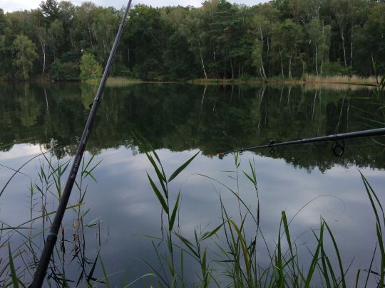 Horstteich (Bornsdorf)