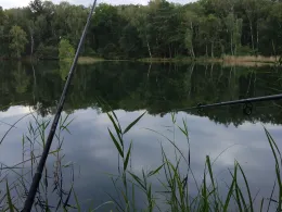 Horstteich (Bornsdorf)