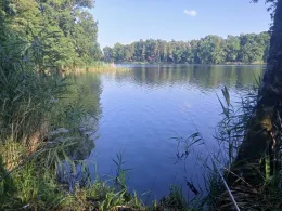 Horstteich (Bornsdorf)-2