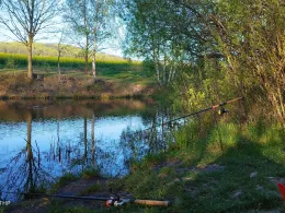 Wiesenteich (Wienrode)