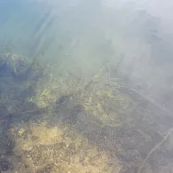 Domsee (Ratzeburg)-1