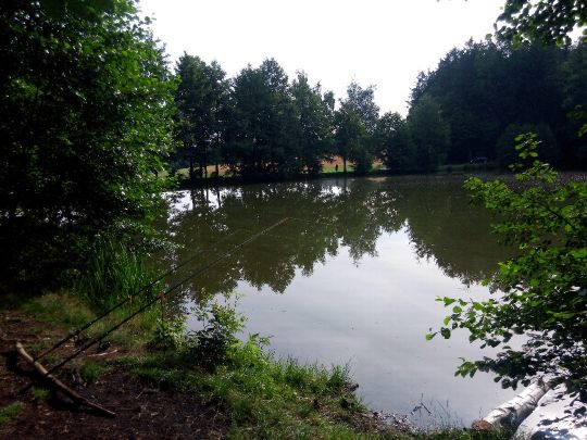 59+ Hauptmannsgrün Teich, Hier finden angler informationen zum