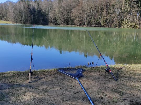Mühlteich (Hauptmannsgrün) ALLE ANGELN
