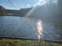 Mühlteich (Hauptmannsgrün)-3