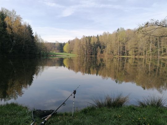 Mühlteich (Hauptmannsgrün) ALLE ANGELN
