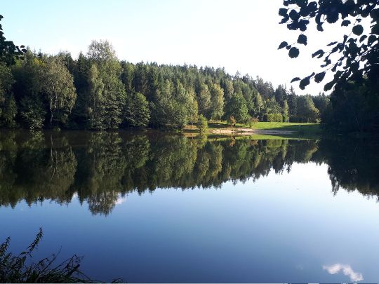 Mühlteich (Hauptmannsgrün) ALLE ANGELN