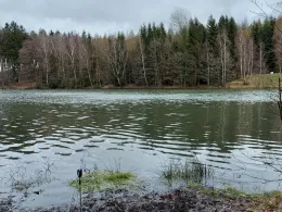 Mühlteich (Hauptmannsgrün)-4