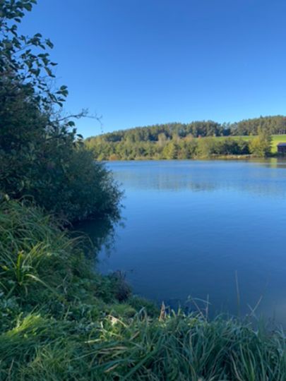 Teichanlage Starkenacker-2