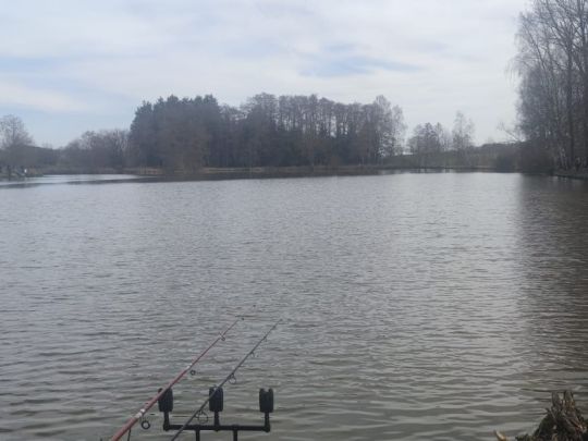 Teichanlage Starkenacker-4