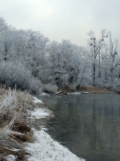 Angeln in Heuchelheim-Klingen
