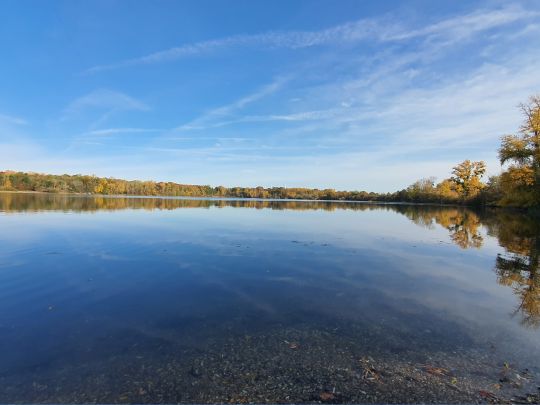 Fermasee (Rheinstetten)-2