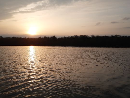 Fermasee (Rheinstetten)-1