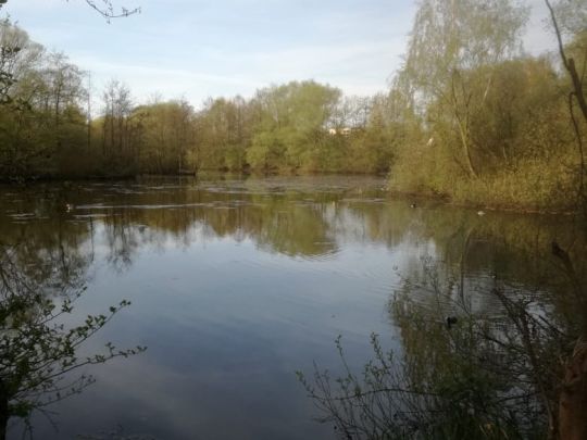 Rückhaltebecken am Luisenhof-1