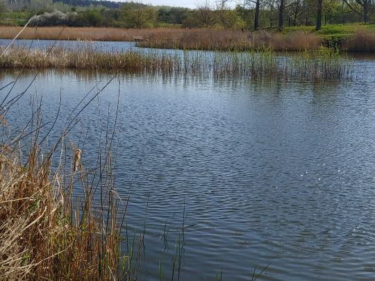 Vorderer Schacht (Döllnitz)-1