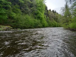 Flöha (Wünschendorf)