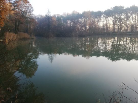 Klosterveldsee (Winterswijk)