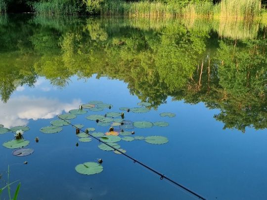 Klosterveldsee (Winterswijk)-4