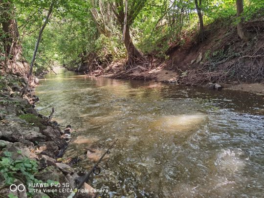 Mittlere Aurach (Erlangen)-2