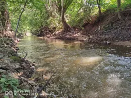 Mittlere Aurach (Erlangen)-2