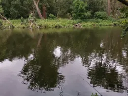 Saale (Bad Kösen)-3