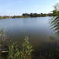 Dritte Wehle (Niebüll)-2