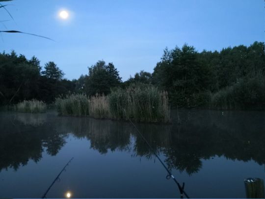 5 Teiche am Ipser Weg ALLE ANGELN