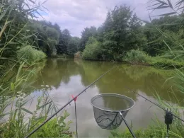 5 Teiche am Ipser Weg-2