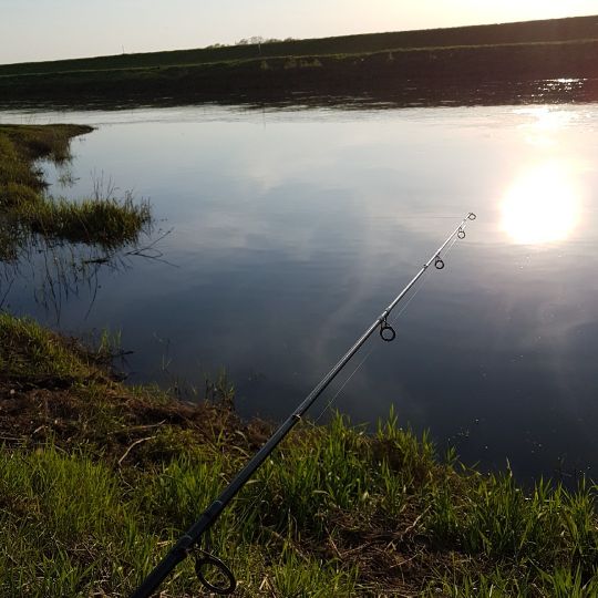 Saale (Barby/Elbe)