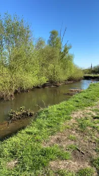 Luhe (Winsen/Luhe)-1