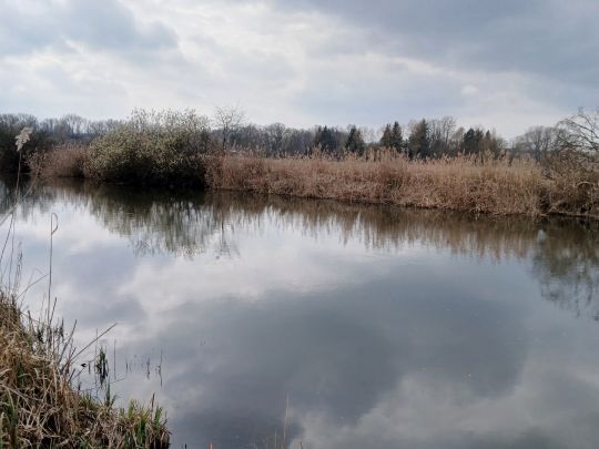 Umflutkanal Lübben-3