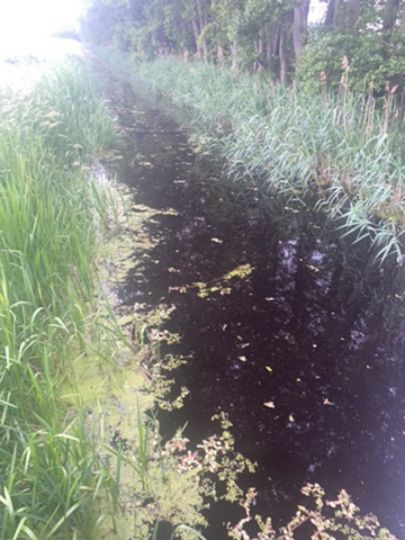 Gadsdorf-Lüdersdorfer Graben