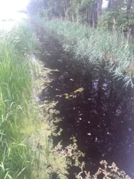 Gadsdorf-Lüdersdorfer Graben